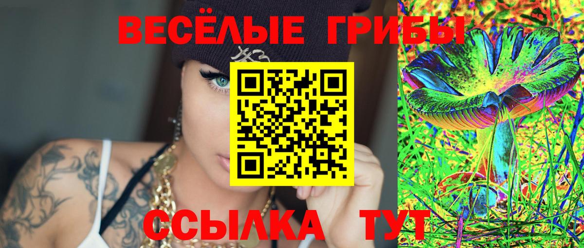 Псилоцибиновые грибы Psilocybe Новосибирск