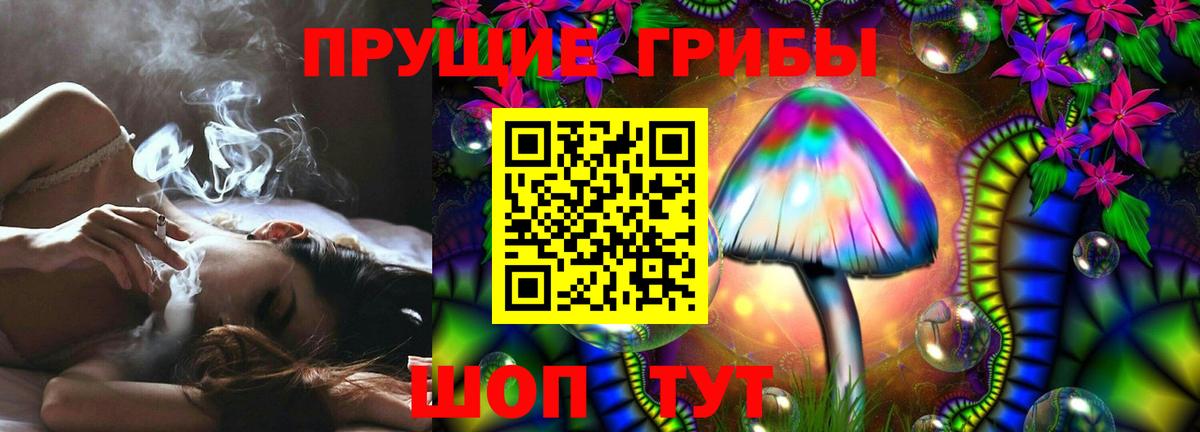Новосибирск  Псилоцибиновые грибы Magic Shrooms  цены   Вход с VPN 